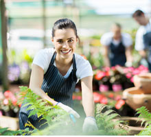 Four Seasons Nursery Wanneroo