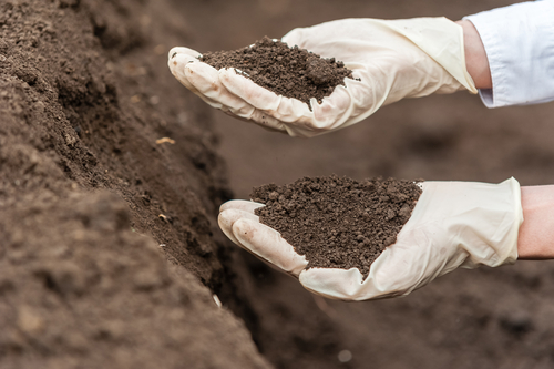 potting mix perth