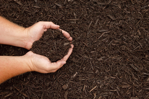 potting mix perth