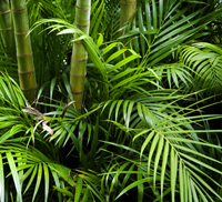 palms inside