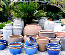 garden pot specials
