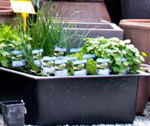 terazzo pots